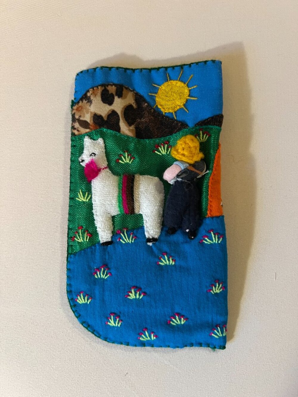 Eye glass case